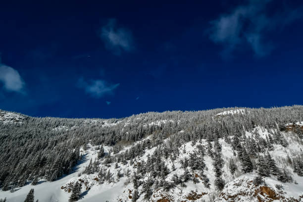 istock Snow Skiing in Colorado 2196101590
