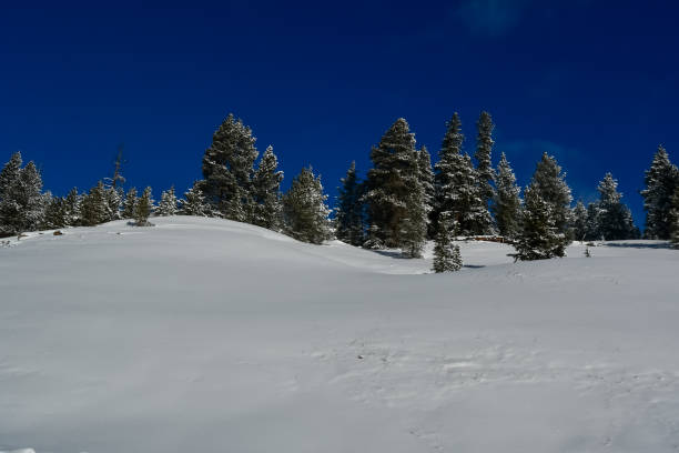 istock Snow Skiing in Colorado 2196101591