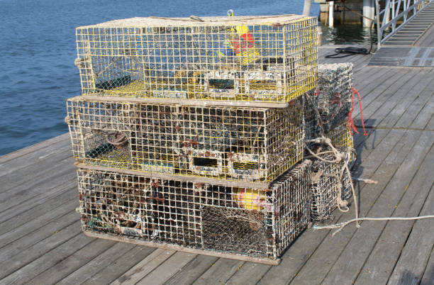 istock Piled lobster traps on a pier at Bar Harbor, Maine 2196105496