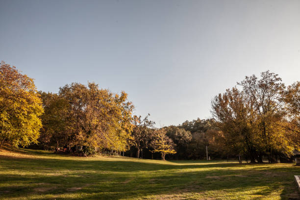 istock A wide clearing featuring a lush grassfield framed by autumn foliage in Devojacki Bunar, Serbia. This tranquil open space, set against a crisp sky, highlights a local spot for leisure and relaxation. 2196108865