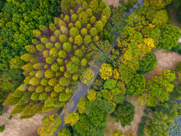 istock Abandoned railway tracks in Jingjiang, Jiangsu 2196108928