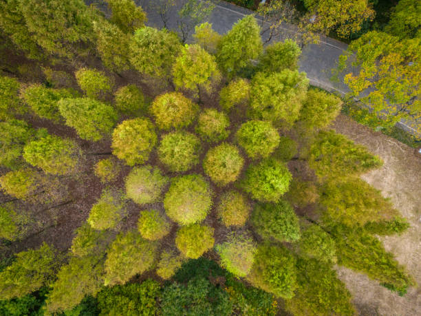 istock Abandoned railway tracks in Jingjiang, Jiangsu 2196108988