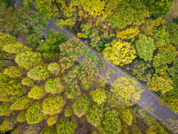 istock Abandoned railway tracks in Jingjiang, Jiangsu 2196109106