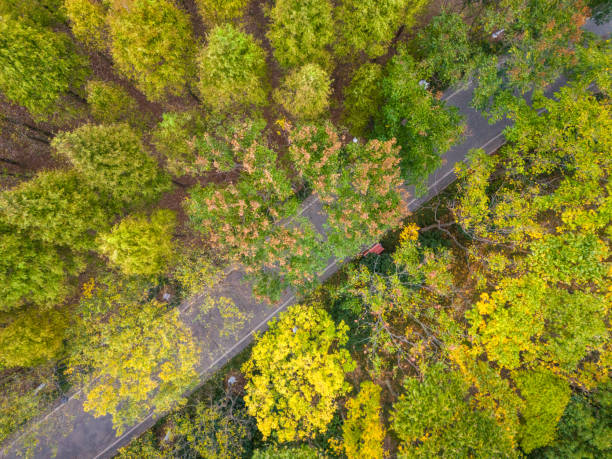 istock Abandoned railway tracks in Jingjiang, Jiangsu 2196109134