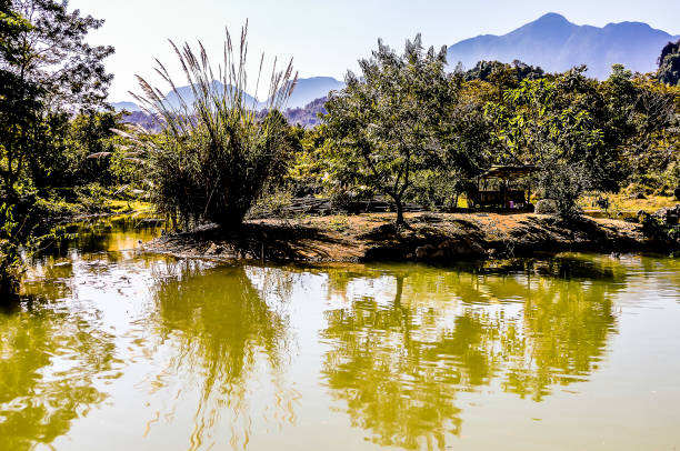 reflection of trees in water, beautiful photo digital picture