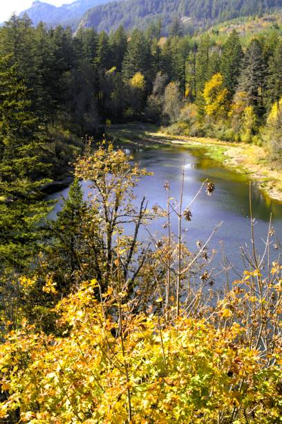istock Gillette Lake surrounded by dense pine woodland 2196113478