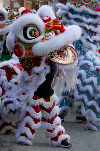 istock January 26, 2025 Calgary, Alberta, Canada, a red and black dancing lion during Chinese New Year celebrations. 2196120532