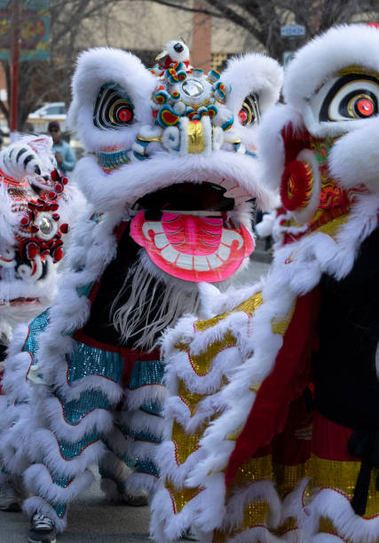 istock January 26, 2025 Calgary, Alberta, Canada, two dancing lions walk past bystanders during the Chinese New Year celebrations. 2196120541