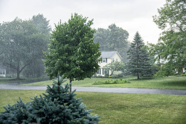 downpour in the garden