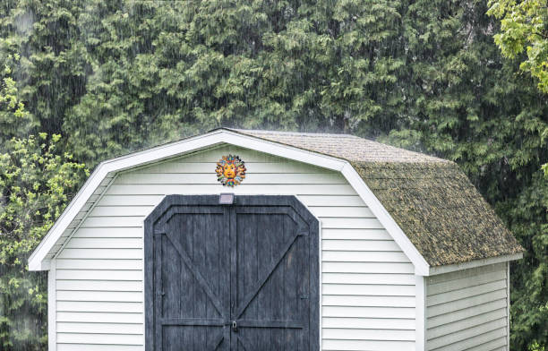 Horse in the stable box