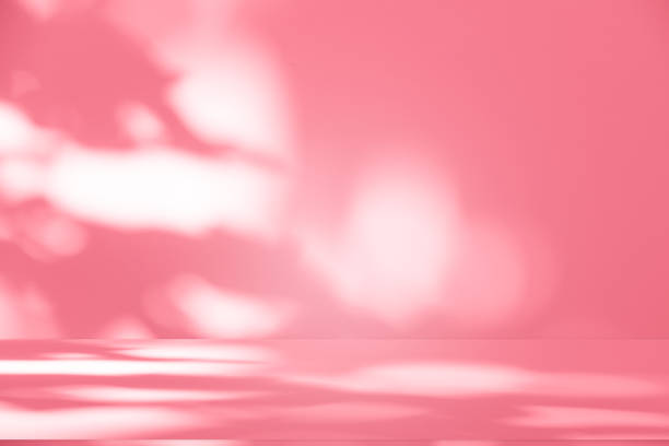 istock Wall interior background, studio, and backdrops show products. with shadow from window color white and pink light. background for text insertion and presentation of product 2196124258