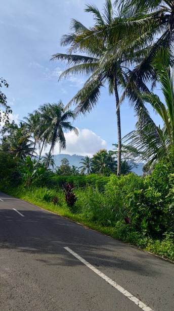 istock Serene Scenery near Borobudur 2196127554