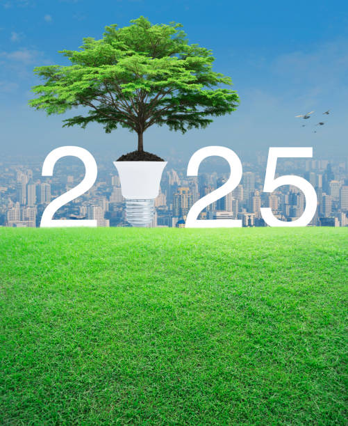 Относится ли экологический сбор к налогам?