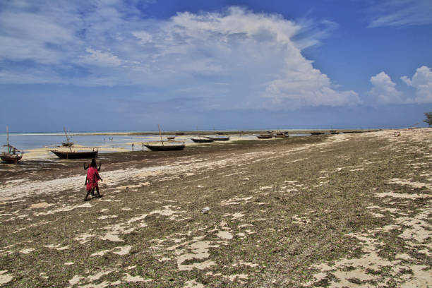 Ukunda, Diani Beach, Kenya - Februery 05, 2012: Landscapes from Diani beach on the Indian Ocean, Ukunda region, near Mombasa. Rest by the Indian Ocean in resorts, landscapes, people, water, tourism, relaxation.