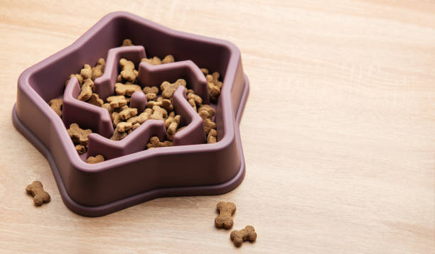 istock Slow feeder dog bowl preventing gulping and improving digestion 2196130932