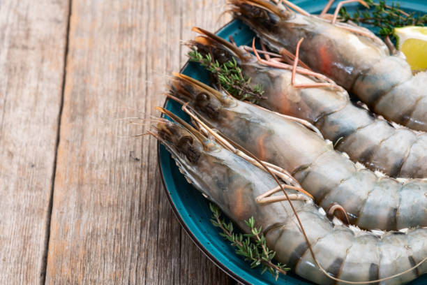 istock Raw big tiger ( king ) shrimps photography . Top view 2196137957