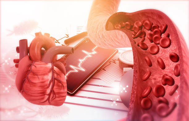 istock Cholesterol blocked artery with human heart 2196141517