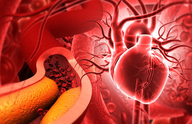 istock Cholesterol blocked artery with human heart 2196141543