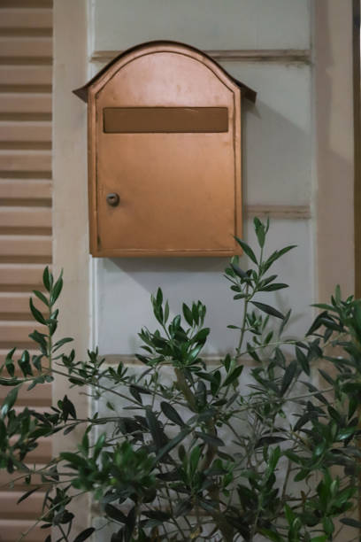 A golden mailbox mounted on a wall in Albania, surrounded by lush green leaves, showcases the unique architectural style of the area under sunlight.