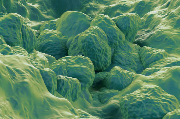 istock Medical Super Absorbent Polymers cluster (SAP) - 3d illustration closeup view 2196144737