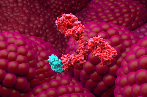 Monoclonal antibody treatment in Prostate cancer - closeup view 3d illustration stock photo