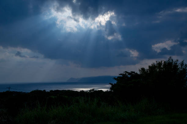 A serene sunset bathes the Tanzanian landscape in warm light, highlighting tall grass and iconic acacia trees against a vivid sky.