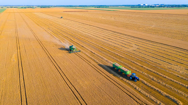 istock Aerial view on combine, harvester machine, harvest ripe cereal, wheat 2196146748