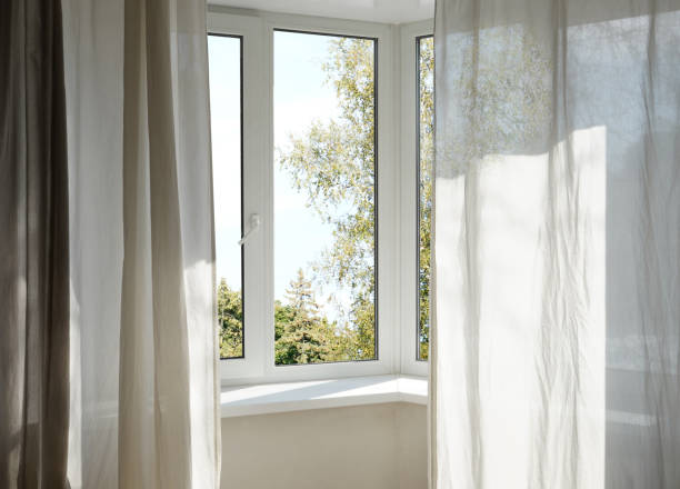 istock View from the window on the garden green trees. 2196147168