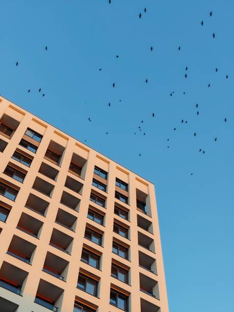 istock Modern building facade against a clear blue sky with birds in flight. Lodz, Poland 2196148296