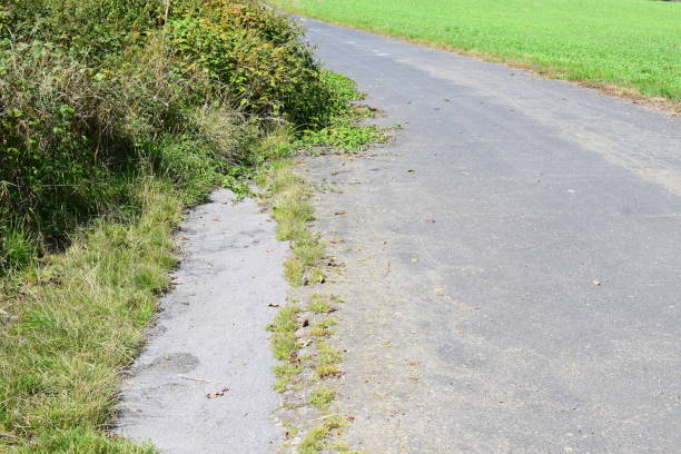 istock farm road falling apart and being overgrown 2196151120