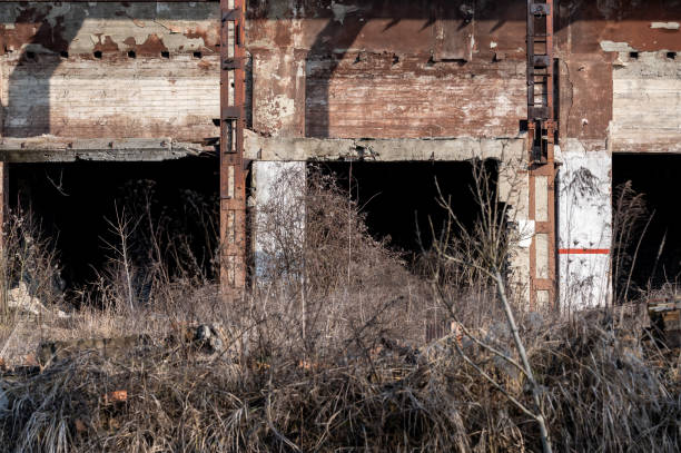 A decaying industrial building with exposed walls and metal structures, partially overgrown with wild vegetation. The scene reflects the intersection of urban decay and nature's reclamation.