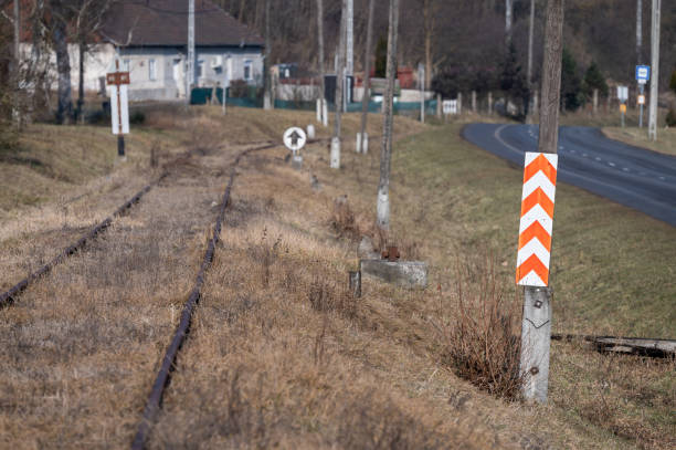 A rural scene featuring overgrown and abandoned railway tracks running parallel to a paved road. Utility poles and traffic signs are visible, highlighting the blend of infrastructure and countryside elements.