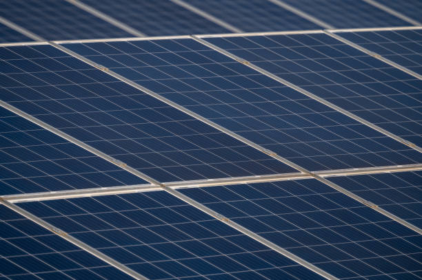 istock Close-Up of Solar Panels in Solar Farm 2196152366