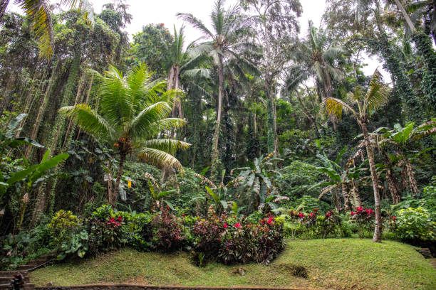 istock Goa Gajah - Elephant Cave. This park-like temple complex offers a beautiful garden with ancient trees and tropical plants. Great enchanted paths through the resort in Bali 2196154405