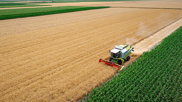 istock Aerial view on combine, harvester machine, harvest ripe cereal 2196154978