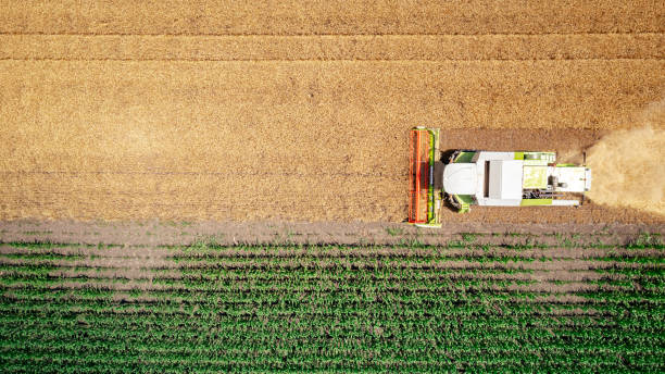 istock Aerial view on combine, harvester machine, harvest ripe cereal 2196155232