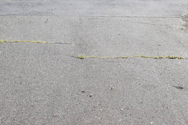 istock grass growing in the cracks of a road 2196155549