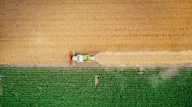 istock Aerial view on combine, harvester machine, harvest ripe cereal 2196155555
