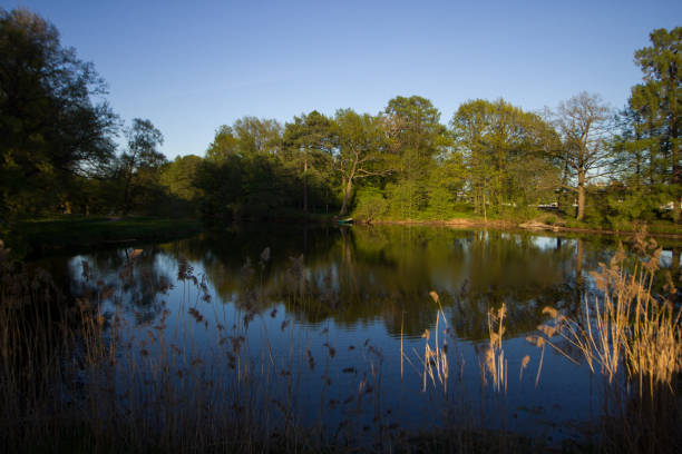 istock Lake in the park Elagin Island 2196155817