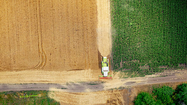 istock Aerial view on combine, harvester machine, harvest ripe cereal 2196156159