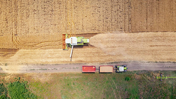 istock Aerial view on combine, harvester machine, harvest ripe cereal 2196156342