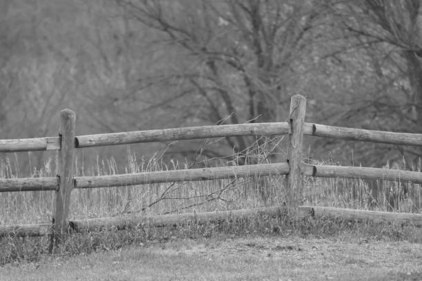 istock Rustic wooden fence at Mahoney State Park 2196157874