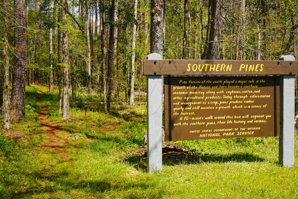 istock Natchez Trace National Park Mississippi 2196158628