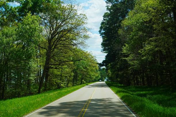 istock Natchez Trace National Park Mississippi 2196158661