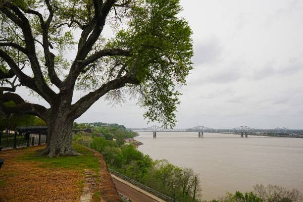 istock GBluffs at Natchez overlooking the Mississippi River.   asoline Barge makes it way downstream from refineries.  Mississippi River and Natchez Mississippi on the Natchez Trace Parkway 2196158761