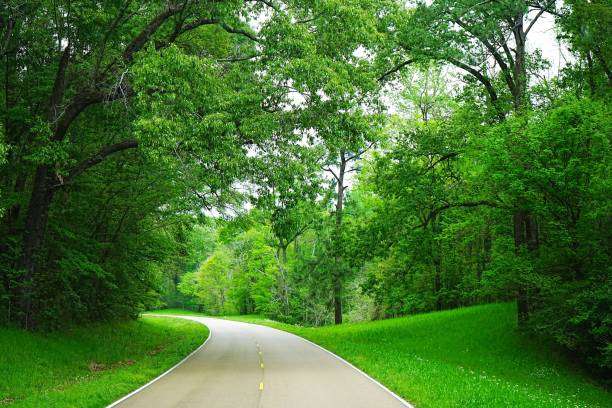 istock Natchez Trace National Park Mississippi 2196158842