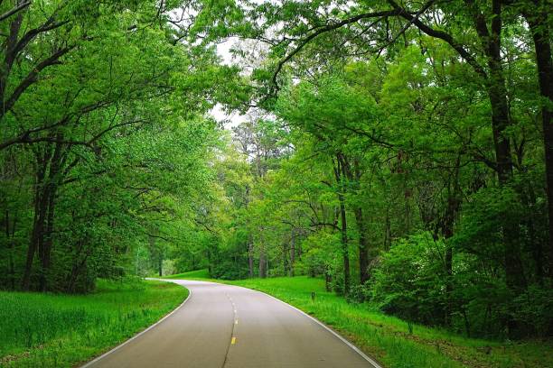 istock Natchez Trace National Park Mississippi 2196158844