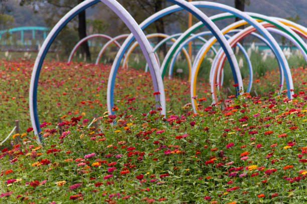park in autumn
