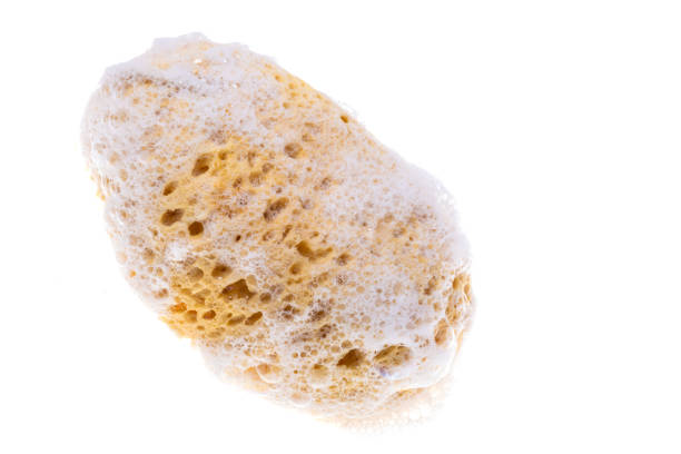 body loofah isolated on white background