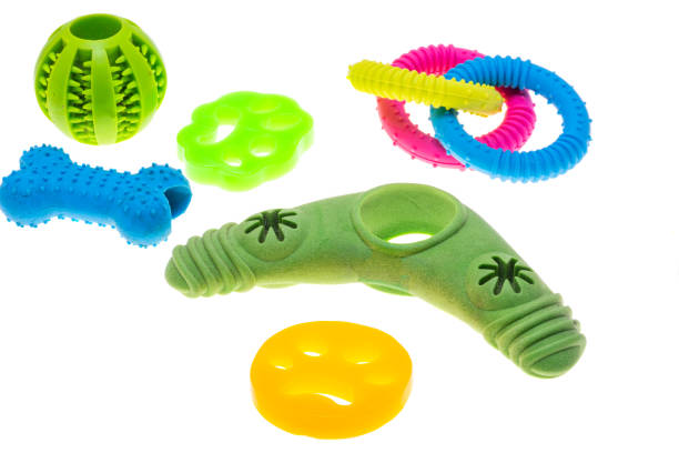 istock dog toys isolated 2196165673